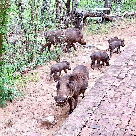 The Bush Hut Villa Hoedspruit Bagian luar foto