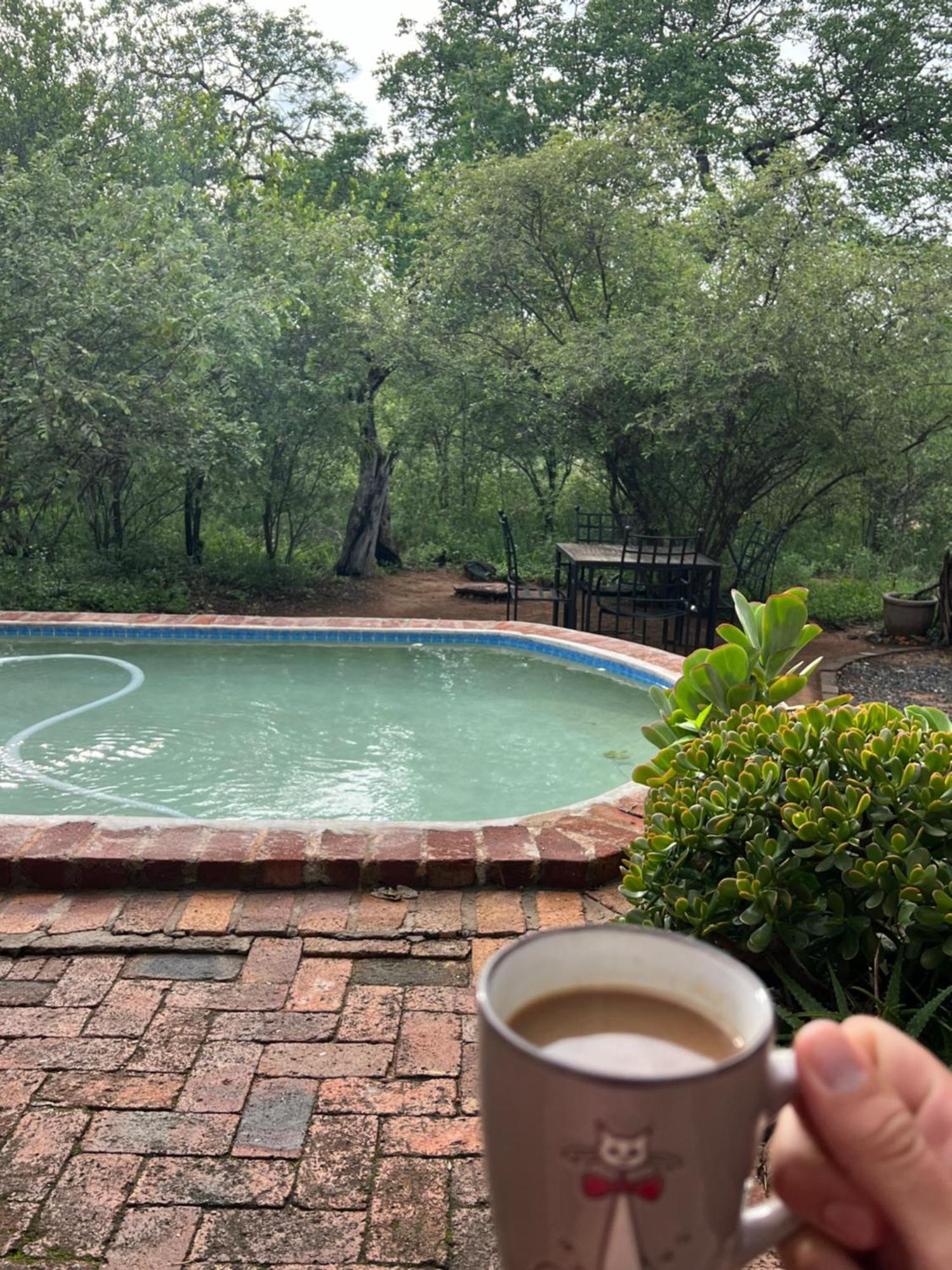 The Bush Hut Villa Hoedspruit Bagian luar foto