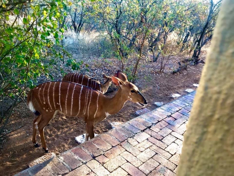 The Bush Hut Villa Hoedspruit Bagian luar foto