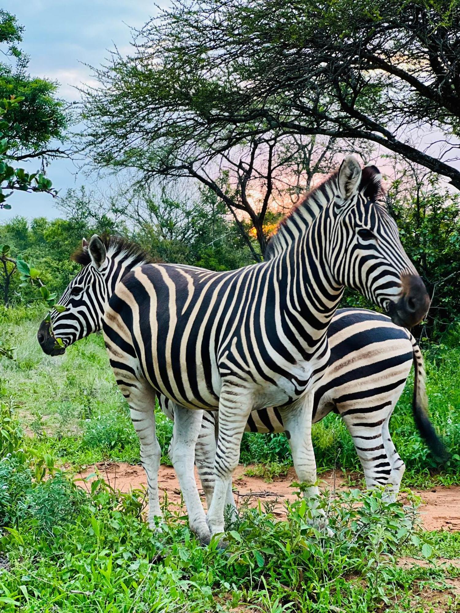 The Bush Hut Villa Hoedspruit Bagian luar foto