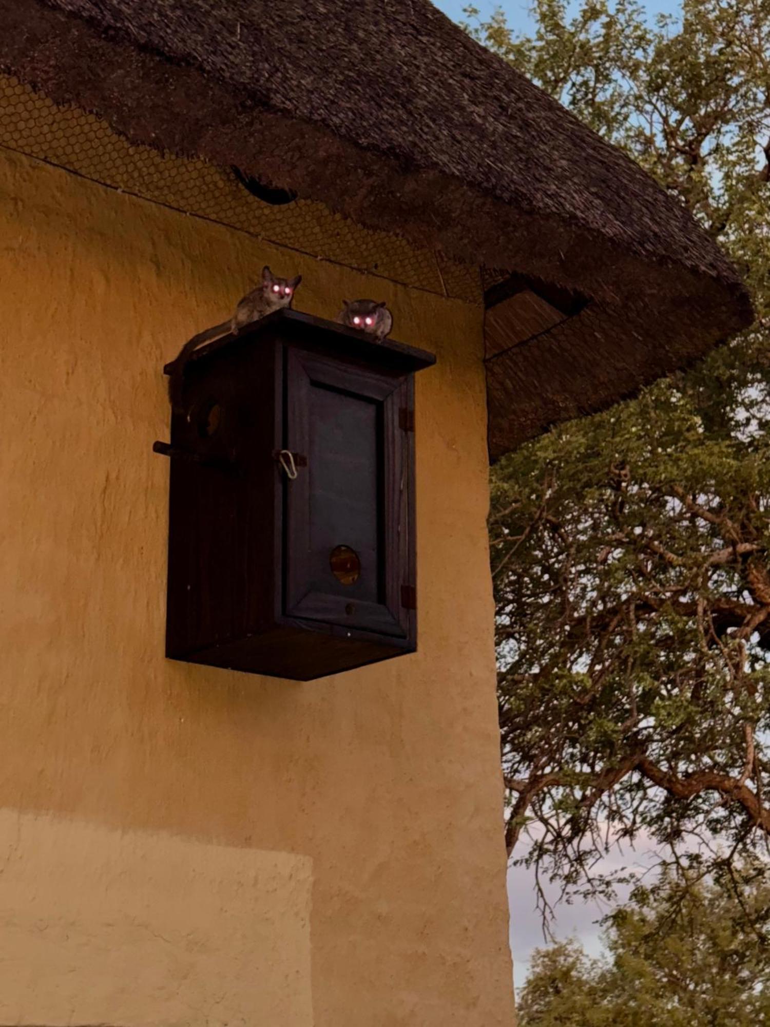 The Bush Hut Villa Hoedspruit Bagian luar foto